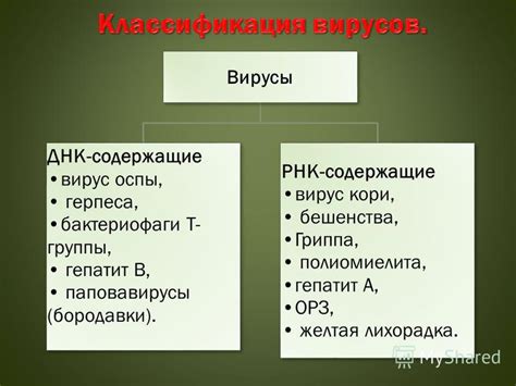 Вирусы содержат только РНК или ДНК