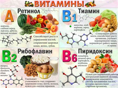 Витамины и их роль при простуде: зачем они нужны организму?