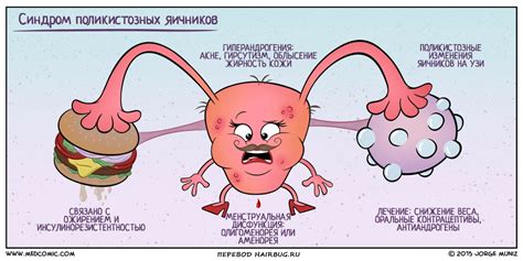 Влагалищная дисбиоз и гормональный дисбаланс