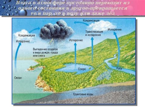 Влага или пыль в динамике