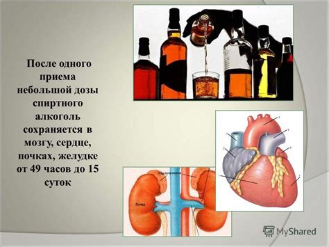 Влияние алкоголя на речь и коммуникацию