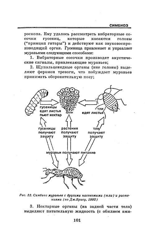 Влияние взаимодействия с другими насекомыми