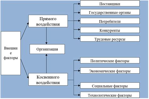 Влияние внешней среды на функционирование организаций