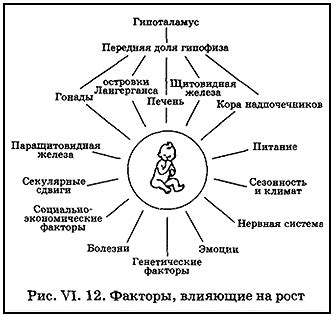 Влияние внешних условий на развитие тыквы