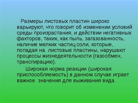 Влияние внешних факторов, таких как пыль и грязь