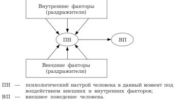 Влияние внешних факторов на поведение персонажей