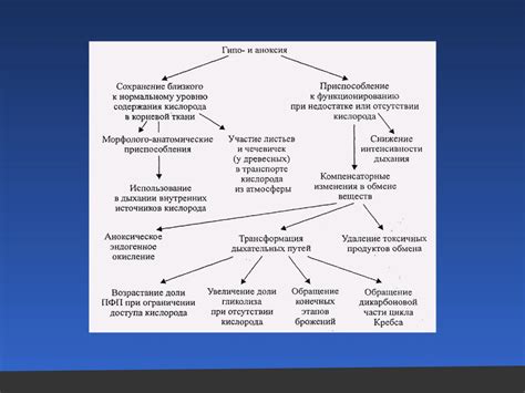 Влияние внешних факторов на процесс разбирательства