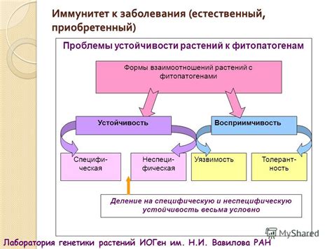 Влияние внешних факторов на разрывы ягод