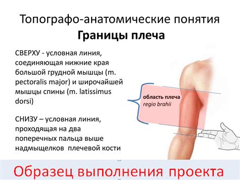 Влияние воспалительных процессов на состояние конечностей