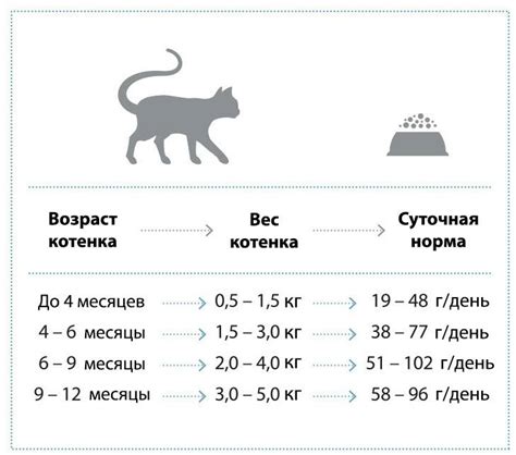 Влияние генетики на вес кота