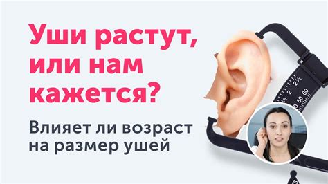 Влияние генетики на рост ушей