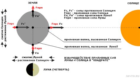 Влияние гравитации на движение Луны