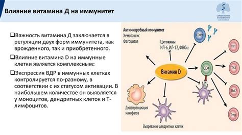 Влияние заболеваний на частоту мочеиспускания