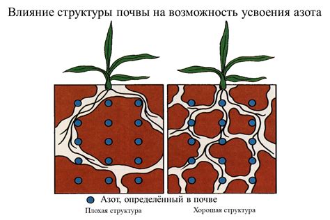 Влияние качества почвы на заполнение септика