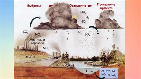 Влияние кислотности на стабильность варенья