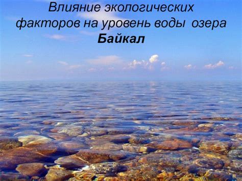 Влияние клиентских факторов на уровень воды