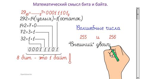 Влияние количества бит и байт на объем информации