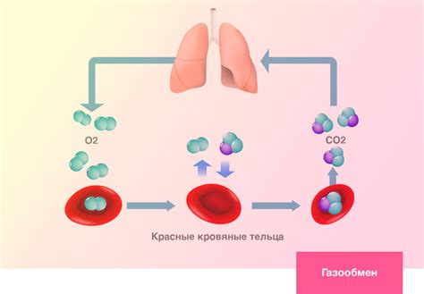 Влияние медикаментозной поддержки дыхания на процесс раскрытия легких