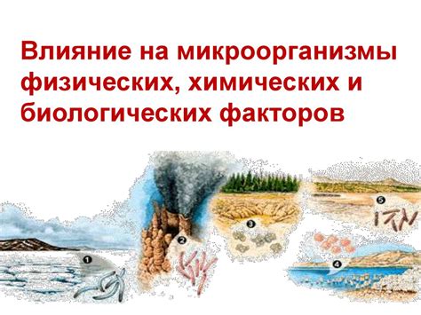 Влияние мороза на химические процессы