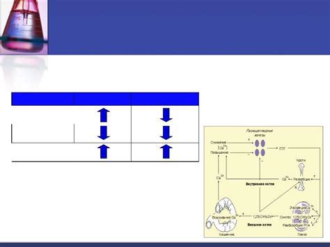 Влияние на гомеостаз кальция