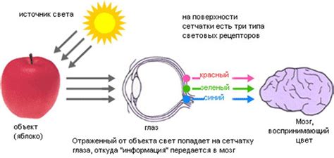 Влияние на смысл и восприятие