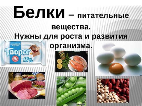 Влияние недостатка белка на организм