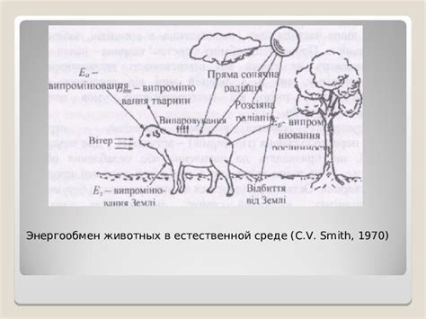 Влияние обитания на поведение и размножение