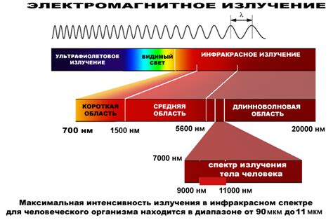 Влияние объектов на инфракрасное излучение