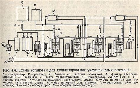 Влияние окраски уксуснокислых бактерий йодом на их жизнедеятельность