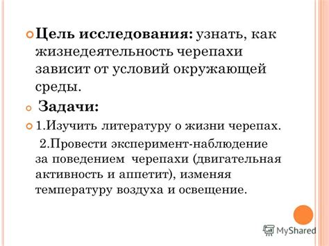 Влияние окружающей среды на аппетит питомца: шум, запахи, изменения в доме