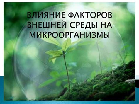 Влияние окружающей среды на инородные образы в снах