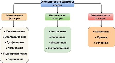 Влияние окружающей среды на классификацию