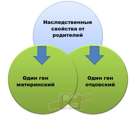 Влияние омикрона на общее состояние здоровья