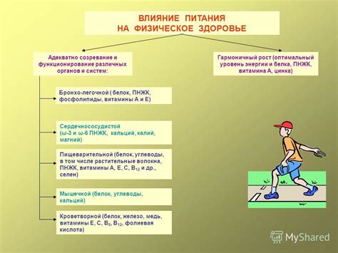 Влияние питания на созревание