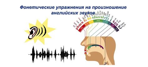 Влияние произношения на количество звуков