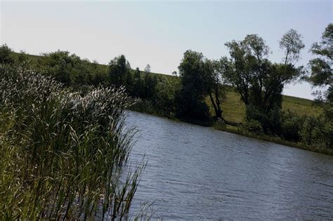 Влияние рек и других пресноводных источников