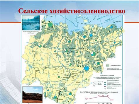 Влияние рельефа и географического положения на колебания осадков