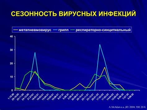 Влияние сезонности на стоимость шампиньонов