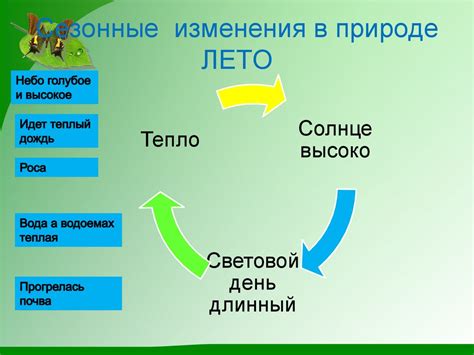 Влияние сезонных изменений на активность толстолобика