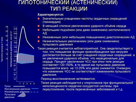 Влияние скачков температуры на состояние сердечно-сосудистой системы