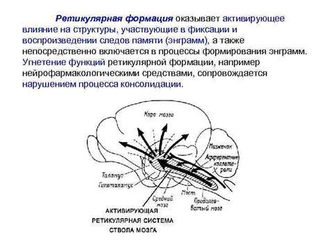 Влияние структуры кастрюль на отображение следов