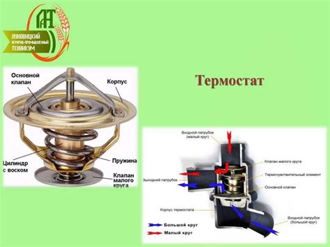 Влияние температурного режима на простейших