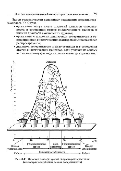 Влияние температуры на процессы в листьях