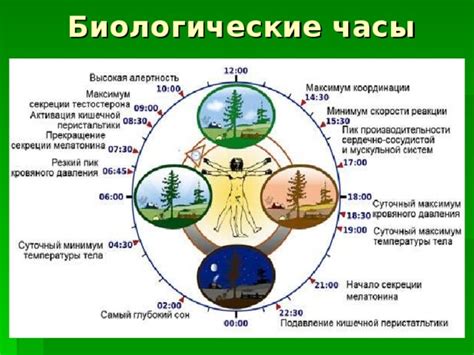 Влияние температуры на цвет ткани