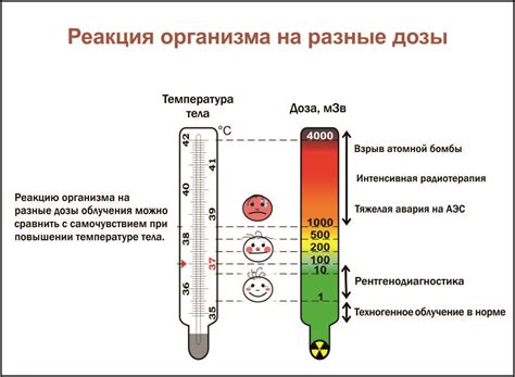 Влияние температуры на шампанское