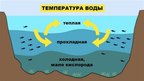 Влияние температуры среды