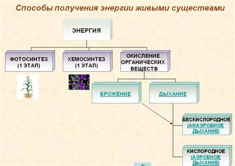 Влияние факторов на реакции матричного синтеза