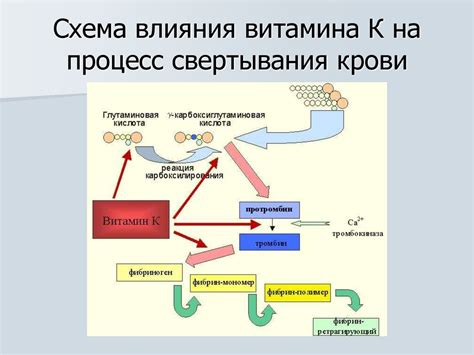 Влияние физических факторов на процесс свертывания