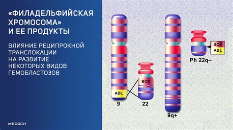 Влияние хромосом на развитие