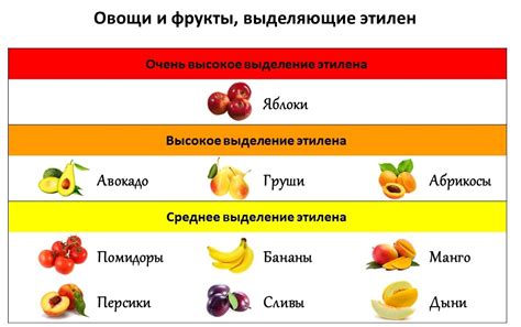 Влияние этилена на окружающие фрукты